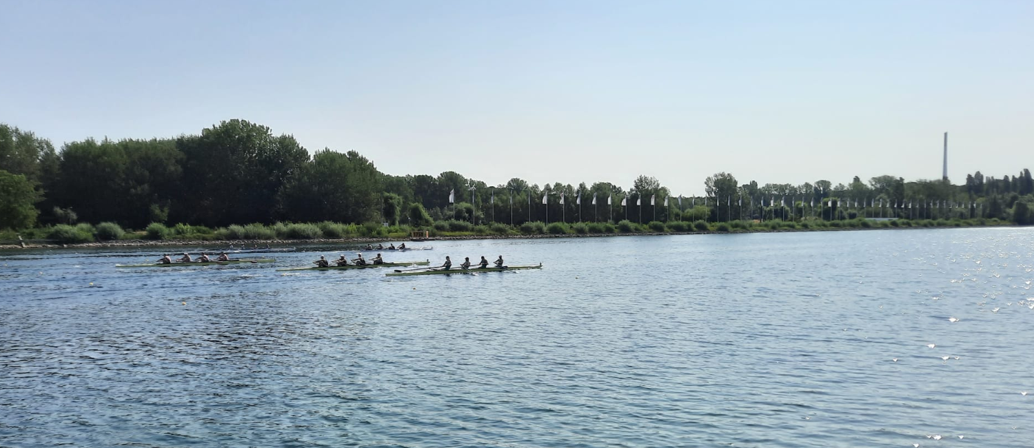 Ergometer-Training